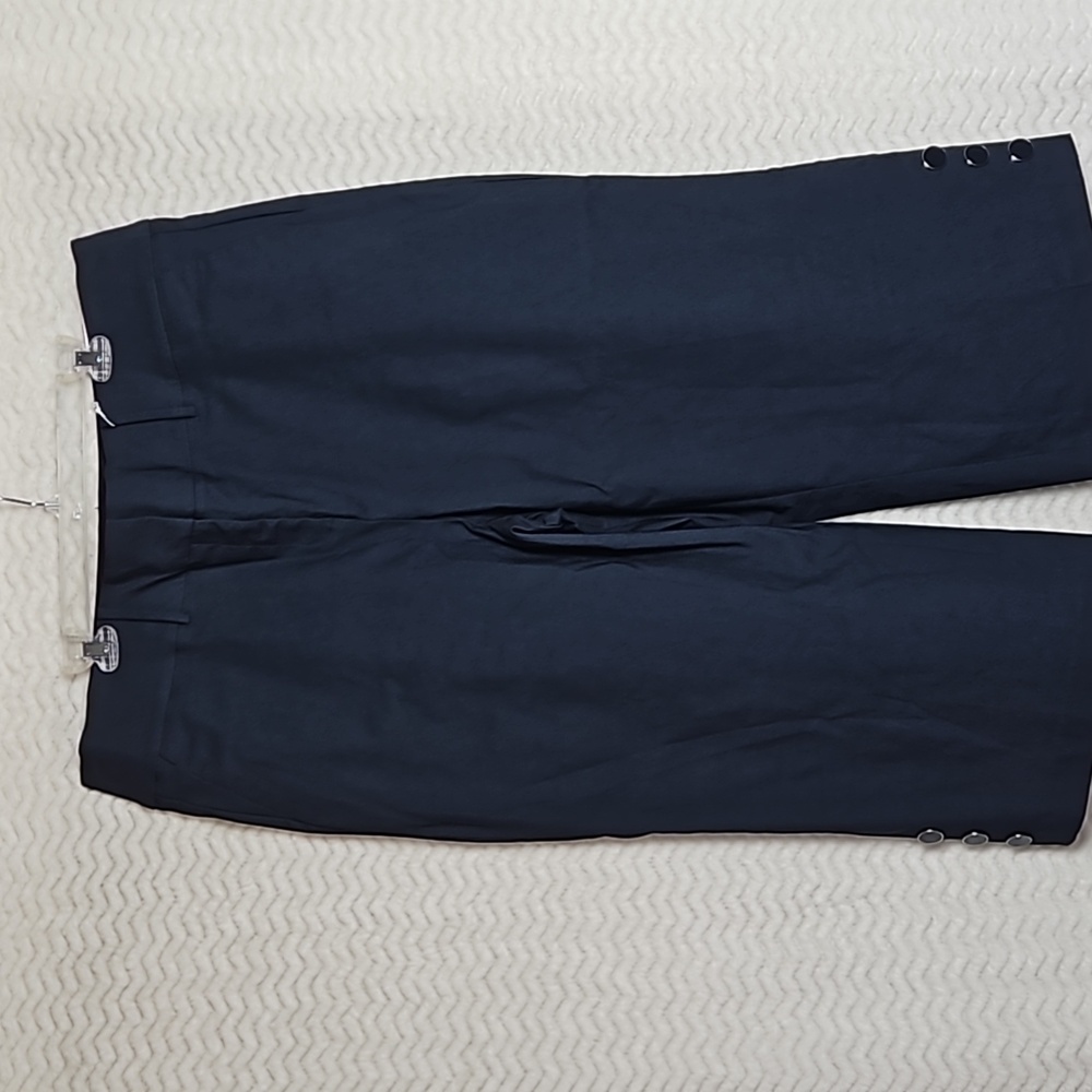 NWT Lane Bryant plus size blue crop pants.